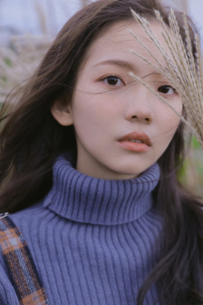 野花社区视频在线观看